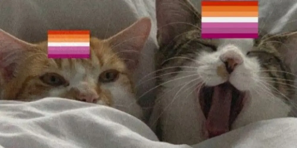 Imagem do grupo de WhatsApp girls lesbians 🧡🤍🩷