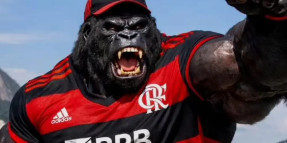 Imagem do grupo de WhatsApp Gorilões Rubro-Negros