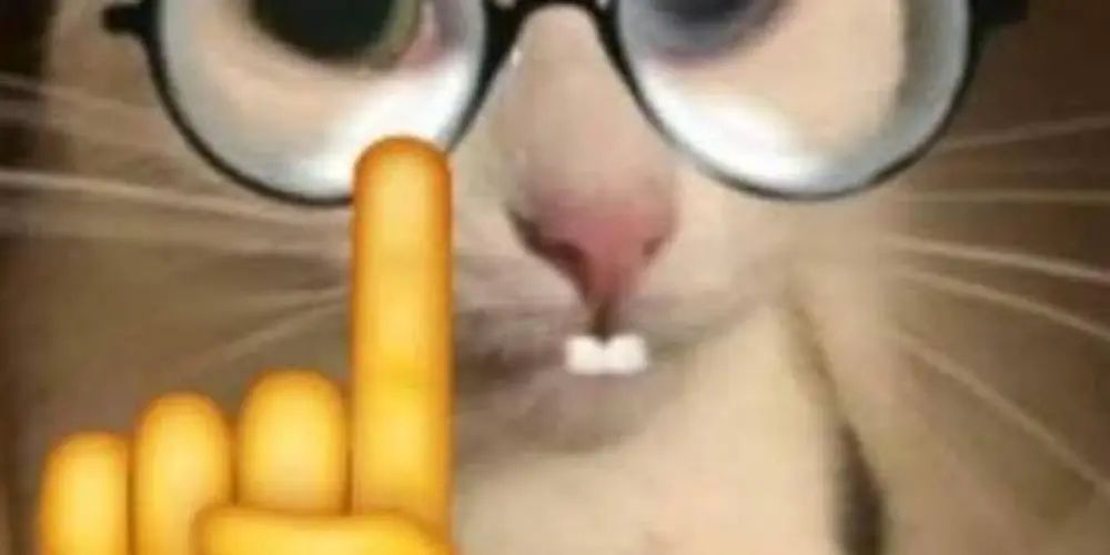 Imagem do grupo de WhatsApp gozante🫦