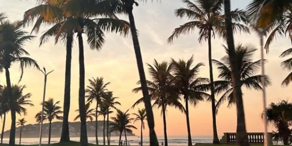 Imagem do grupo de WhatsApp GP APOCALÍPTICO 🎀✨️