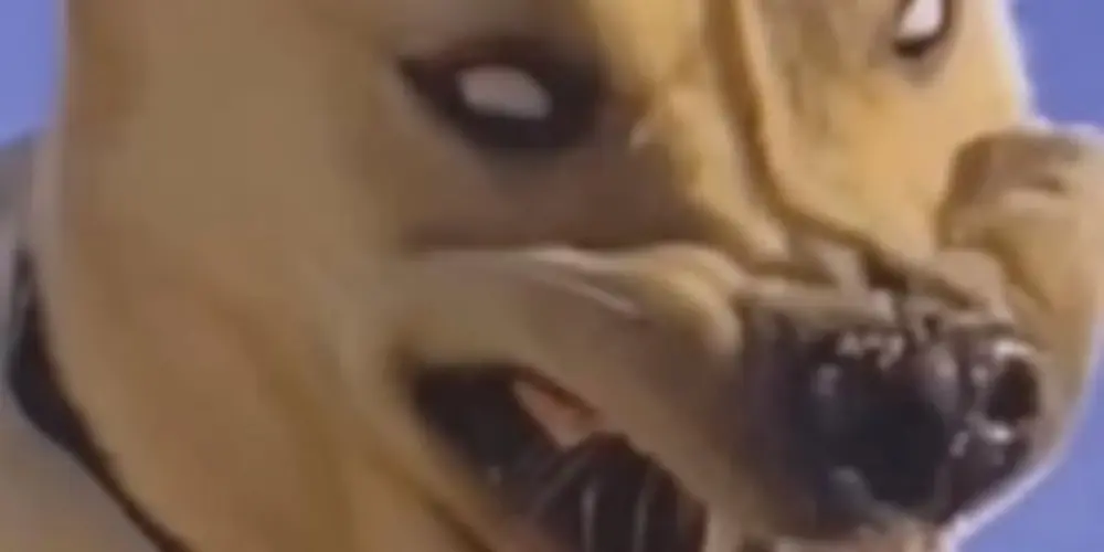 Imagem do grupo de WhatsApp Gp dos amigos🤝