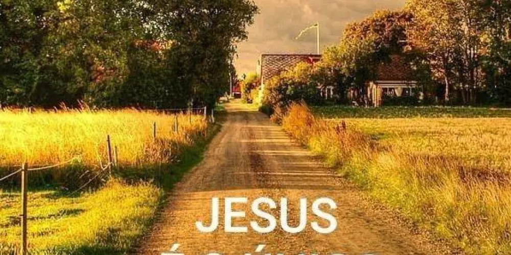 Imagem do grupo de WhatsApp GP ENVAGELISTA ✨