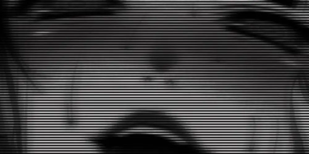 Imagem do grupo de WhatsApp Gp feito pra você