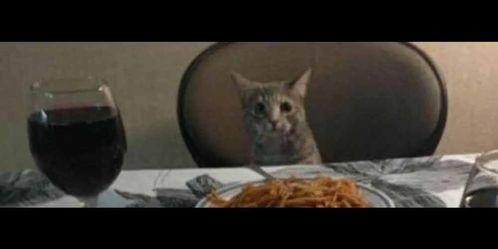 Imagem do grupo de WhatsApp gp pra amigar 😅