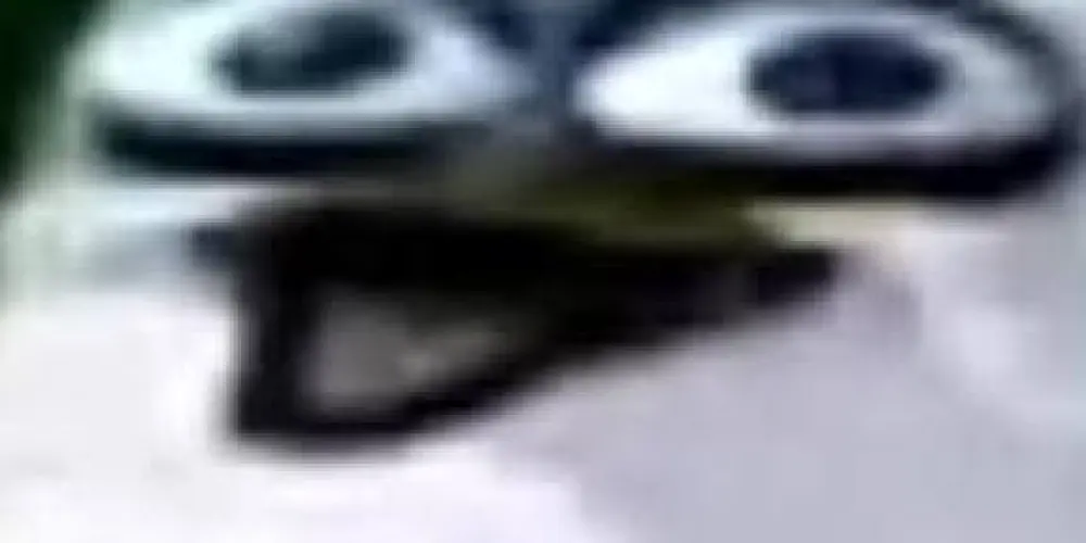 Imagem do grupo de WhatsApp GPG - Grupo pra Gritar