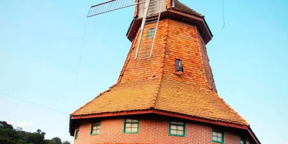 Imagem do grupo de WhatsApp Grávidas na pista