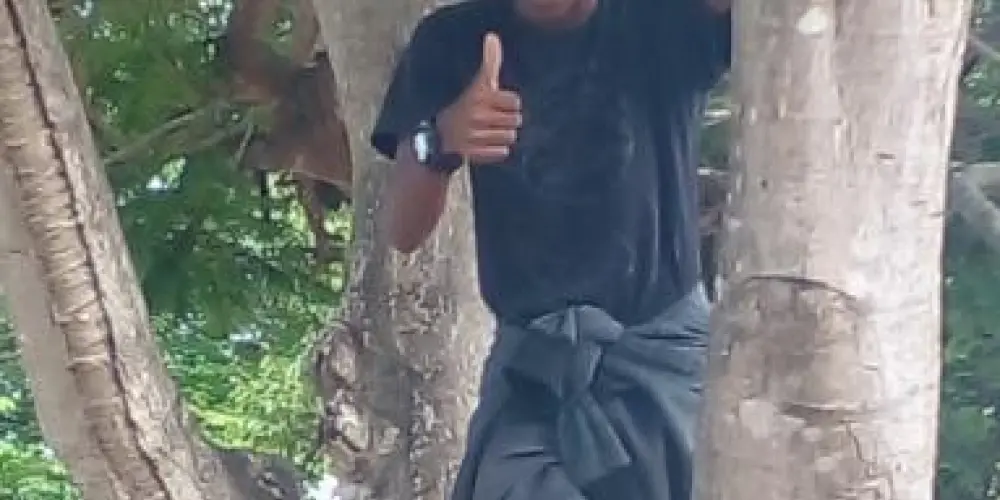 Imagem do grupo de WhatsApp 💤★group of death★💤