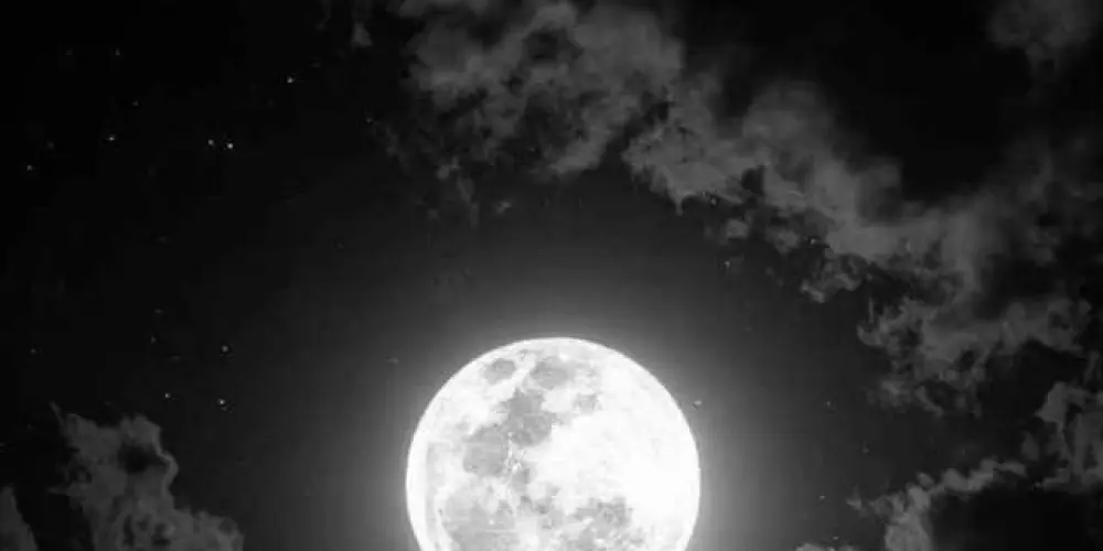 Imagem do grupo de WhatsApp �GROW A GARDEN 🥭