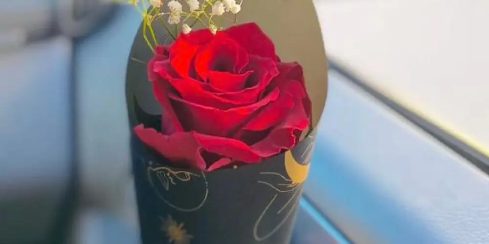 Imagem do grupo de WhatsApp Grupão