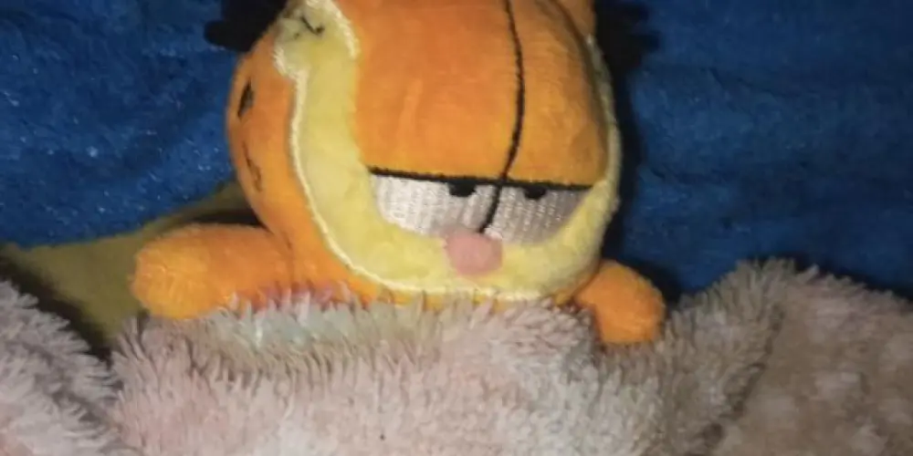 Imagem do grupo de WhatsApp Grupin💥