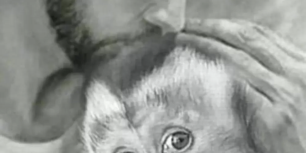 Imagem do grupo de WhatsApp Grupinho