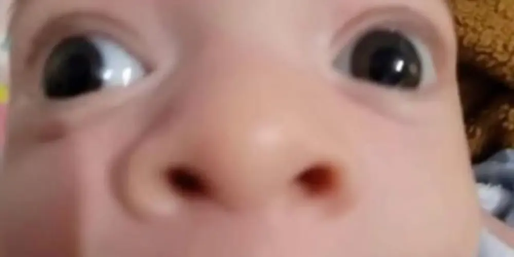 Imagem do grupo de WhatsApp Grupinho