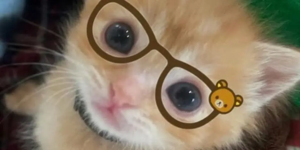 Imagem do grupo de WhatsApp Grupinho de paquera😜❤️✋️