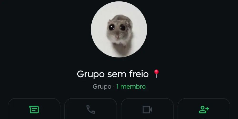 Imagem do grupo de WhatsApp Grupo 100 freio 📍