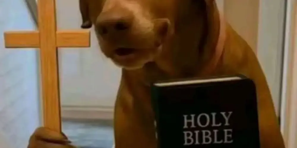 Imagem do grupo de WhatsApp Grupo 100 sentido