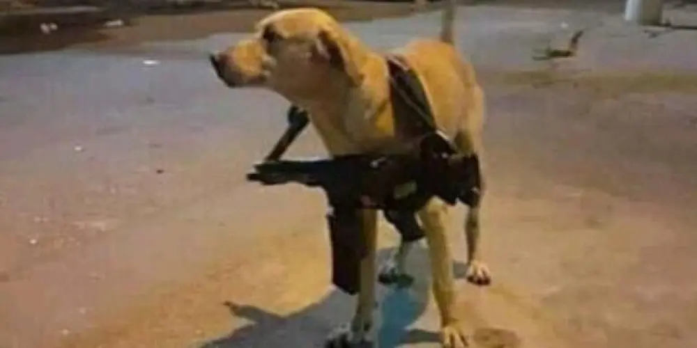 Imagem do grupo de WhatsApp Grupo 2