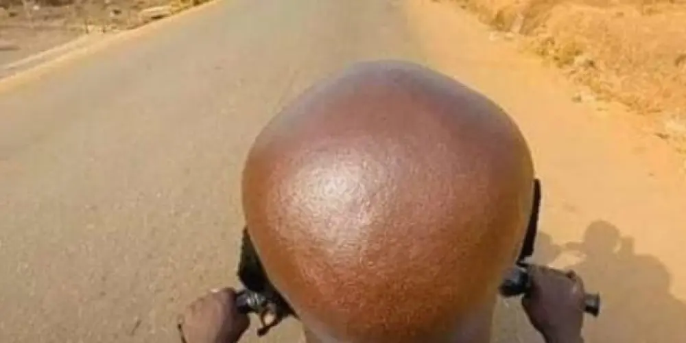 Imagem do grupo de WhatsApp Grupo 2