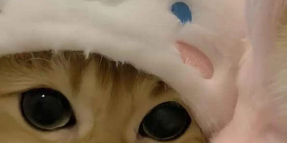 Imagem do grupo de WhatsApp GRUPO 48H ON