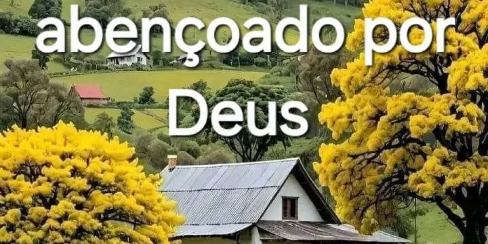 Imagem do grupo de WhatsApp Grupo