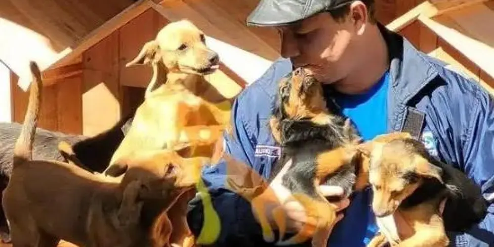Imagem do grupo de WhatsApp Grupo ajuda Santuário amigos fiel