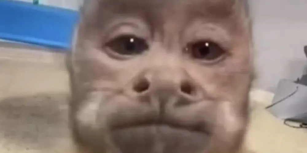 Imagem do grupo de WhatsApp GRUPO ALEATÓRIO PRA FAZER AMIZADE 💯🤙