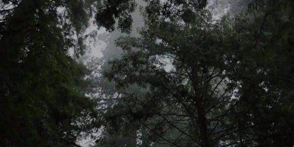 Imagem do grupo de WhatsApp Grupo alternativo emos/góticas/metaleiro/metal/rock