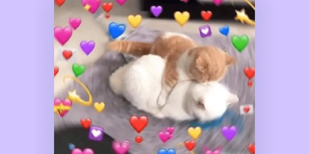 Imagem do grupo de WhatsApp Grupo amizades 🏳️‍🌈