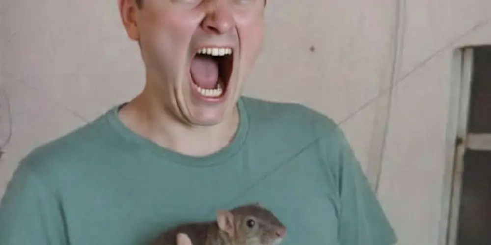 Imagem do grupo de WhatsApp Grupo conversa (público)