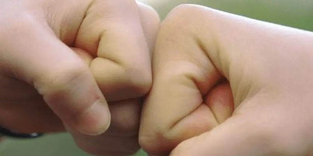 Imagem do grupo de WhatsApp Grupo da amizade 👏🫶🤝🤜🤛