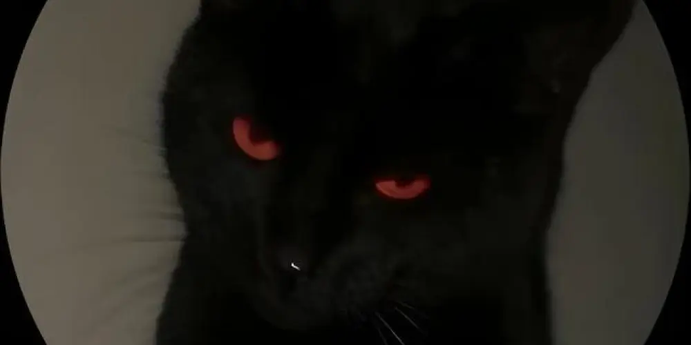 Imagem do grupo de WhatsApp Grupo da amizade