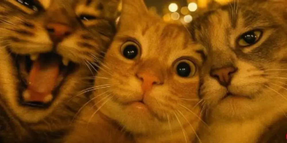 Imagem do grupo de WhatsApp Grupo da bagunça