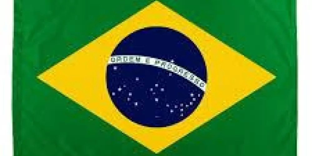 Imagem do grupo de WhatsApp Grupo da direita 🇧🇷✌️