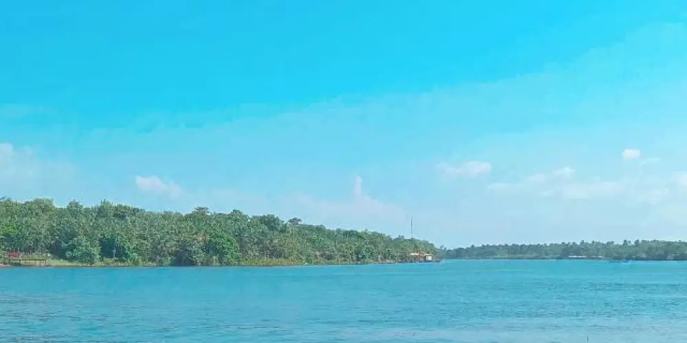 Imagem do grupo de WhatsApp Grupo da família