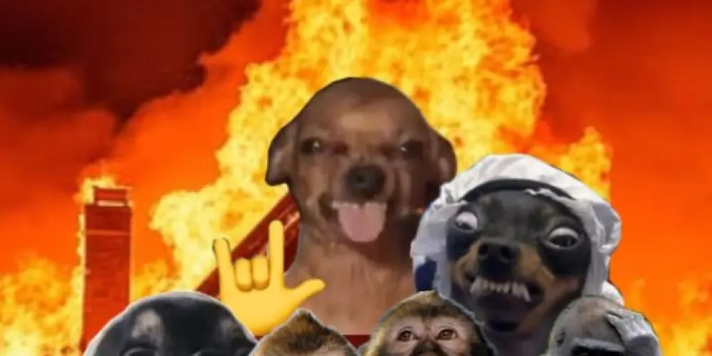 Imagem do grupo de WhatsApp Grupo da Mayzoca🪦