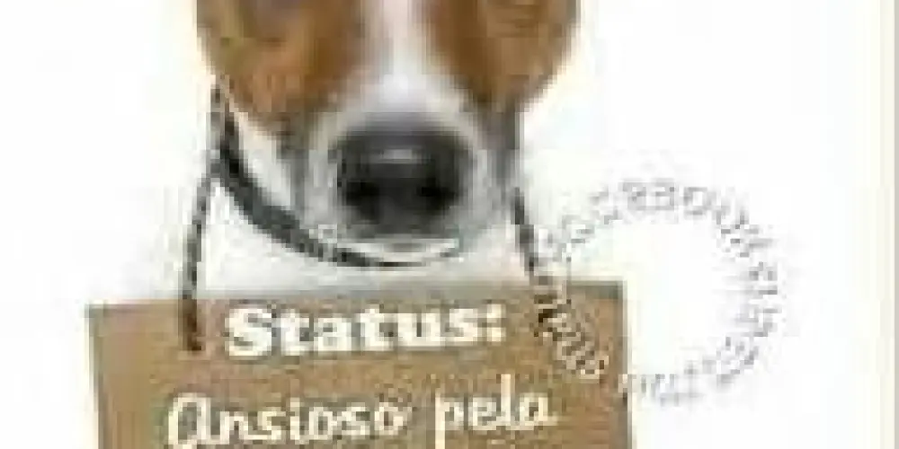 Imagem do grupo de WhatsApp Grupo da resenha