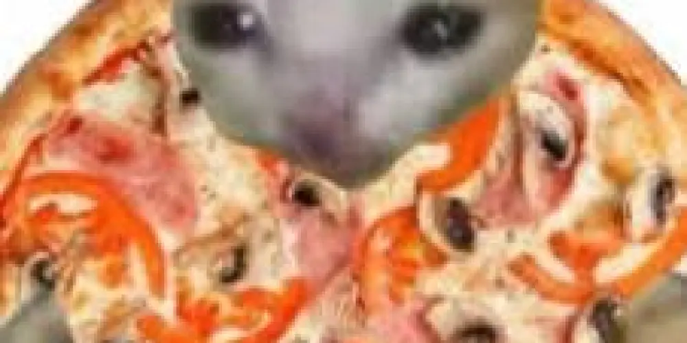 Imagem do grupo de WhatsApp GRUPO DA RESENHA 😝