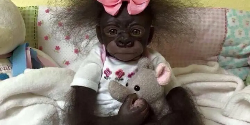 Imagem do grupo de WhatsApp Grupo da resenha 😬