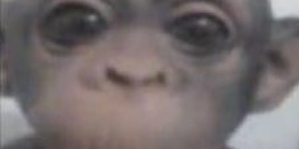 Imagem do grupo de WhatsApp GRUPO DA RESENHA