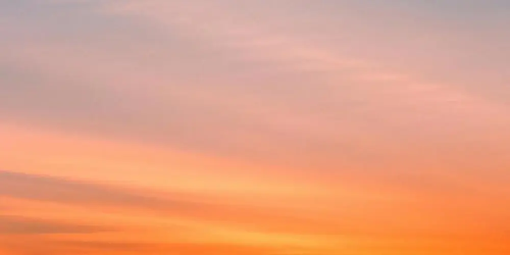 Imagem do grupo de WhatsApp Grupo da terça 🍀