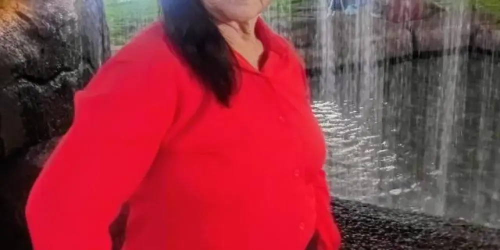 Imagem do grupo de WhatsApp Grupo da Terezinha Ferreira