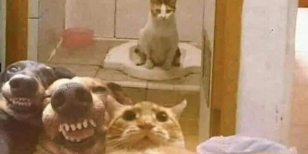 Imagem do grupo de WhatsApp 😏GRUPO DA UNIÃO😂