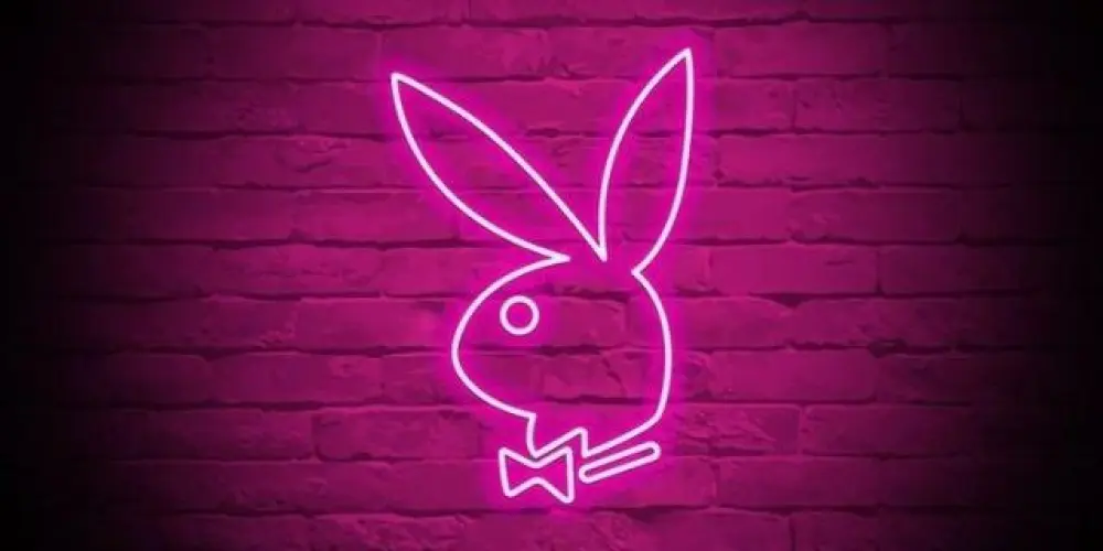 Imagem do grupo de WhatsApp Grupo da verificada