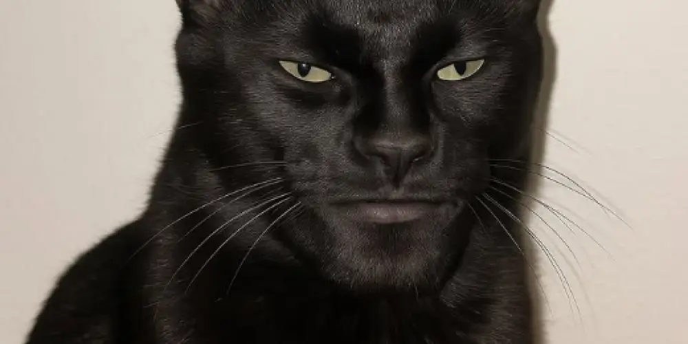 Imagem do grupo de WhatsApp Grupo da zueira