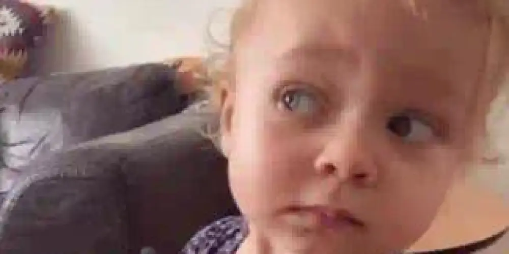 Imagem do grupo de WhatsApp Grupo da zueira