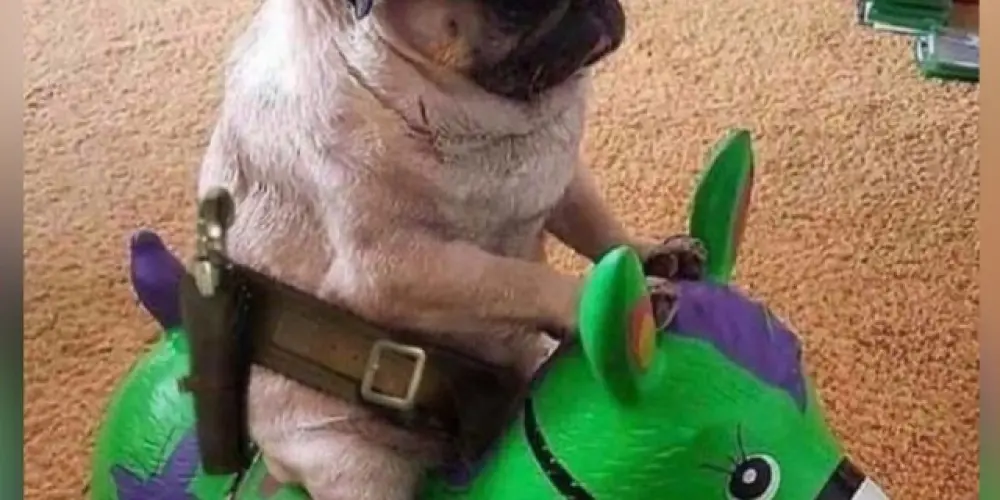 Imagem do grupo de WhatsApp 😈 Grupo da zueirinha 😈