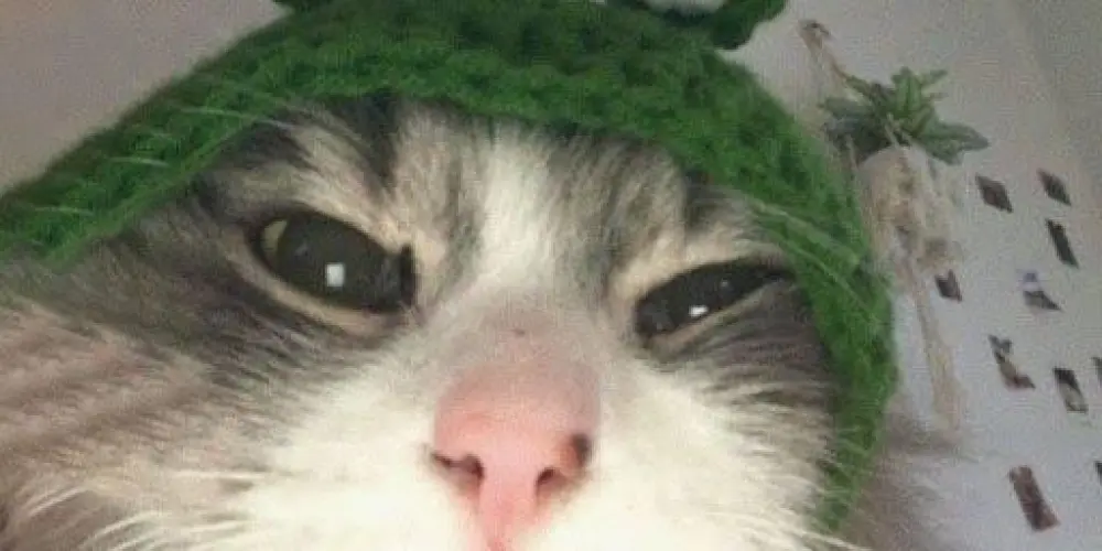 Imagem do grupo de WhatsApp Grupo da zuera