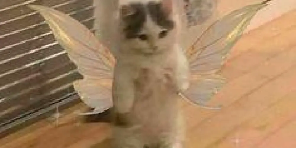 Imagem do grupo de WhatsApp Grupo de 12 a 14 🙅🏻‍♂️