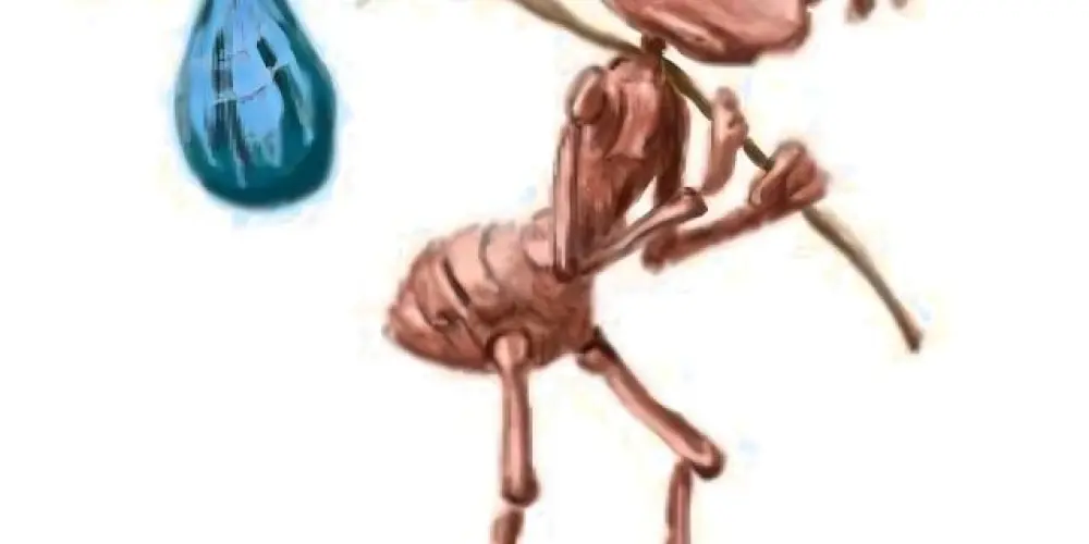 Imagem do grupo de WhatsApp Grupo de adolescentes para amigar👅