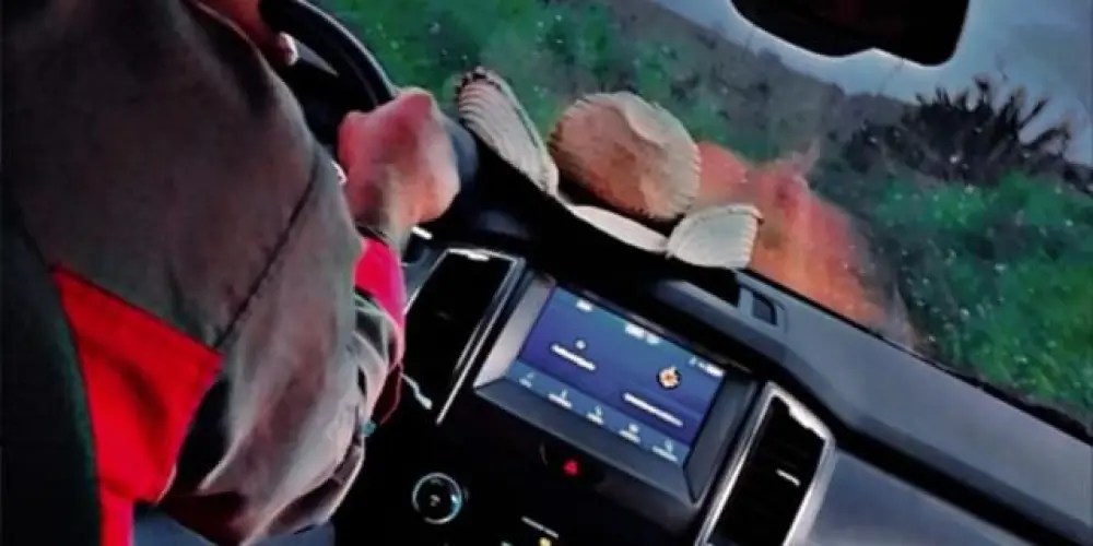 Imagem do grupo de WhatsApp Grupo de amigos