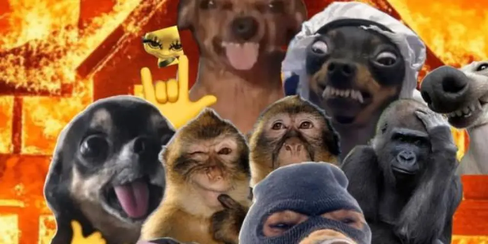 Imagem do grupo de WhatsApp Grupo de amizade 0.2